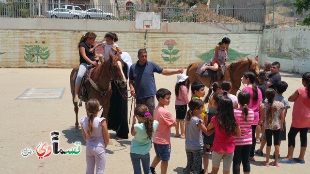 كفرقاسم - فيديو  : تعليم هواية ركوب الخيل في مدرسة جنة ابن رشد في اليوم الرابع لصيف الصادقة 